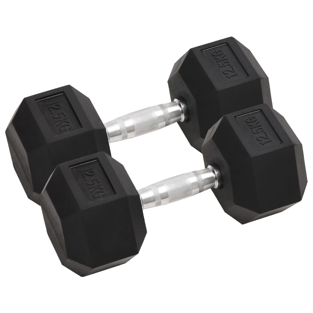Halters 2 St 8 Kg Gietijzer