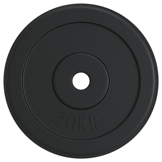 Halterschijf 20 Kg Gietijzer